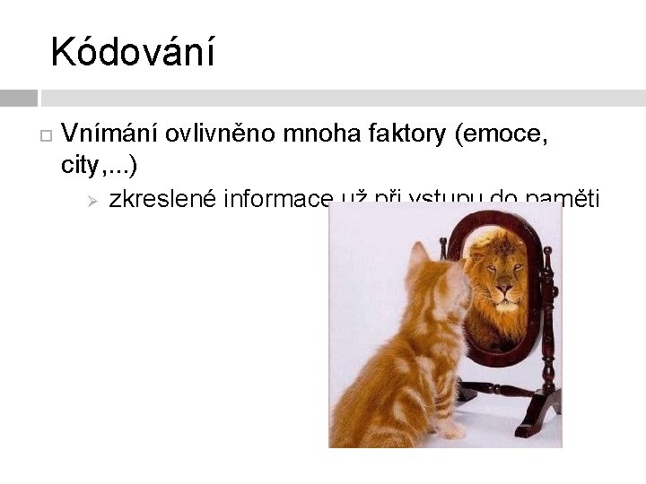 Kódování Vnímání ovlivněno mnoha faktory (emoce, city, . . . ) Ø zkreslené informace