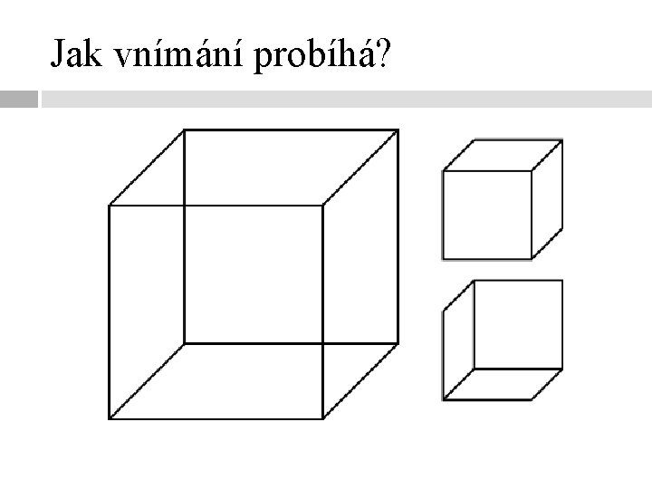 Jak vnímání probíhá? 