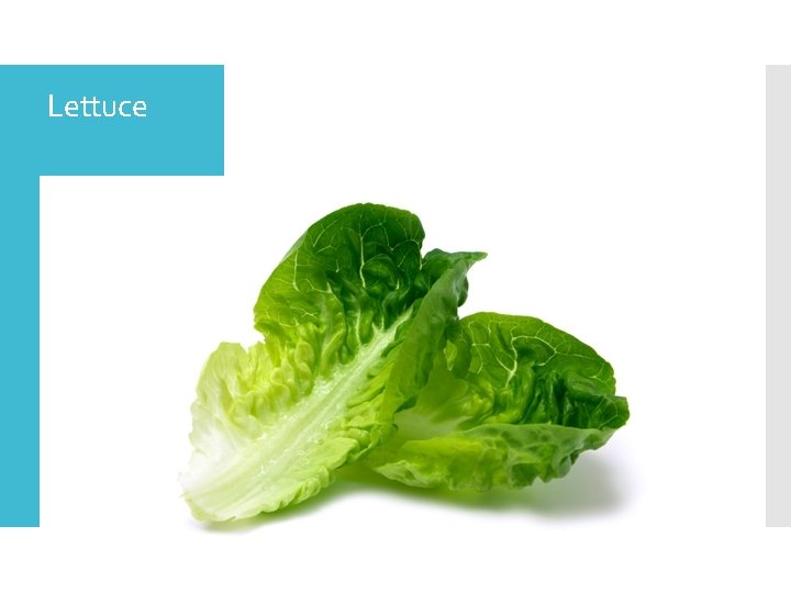 Lettuce 