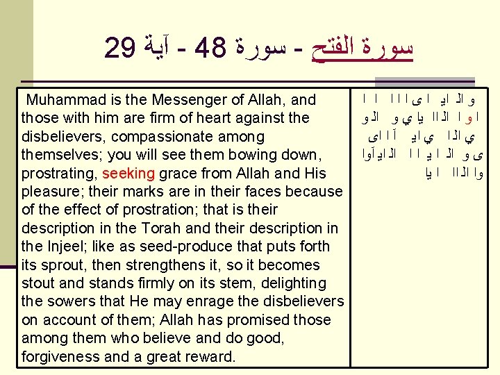  29 آﻴﺔ - 48 ﺳﻮﺭﺓ - ﺍﻟﻔﺘﺢ ﺳﻮﺭﺓ Muhammad is the Messenger of