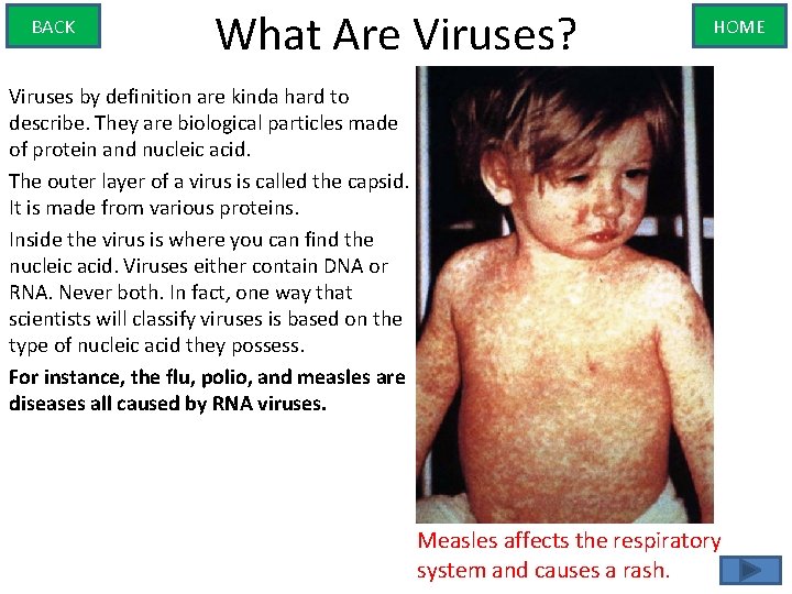 BACK What Are Viruses? HOME Viruses by definition are kinda hard to describe. They