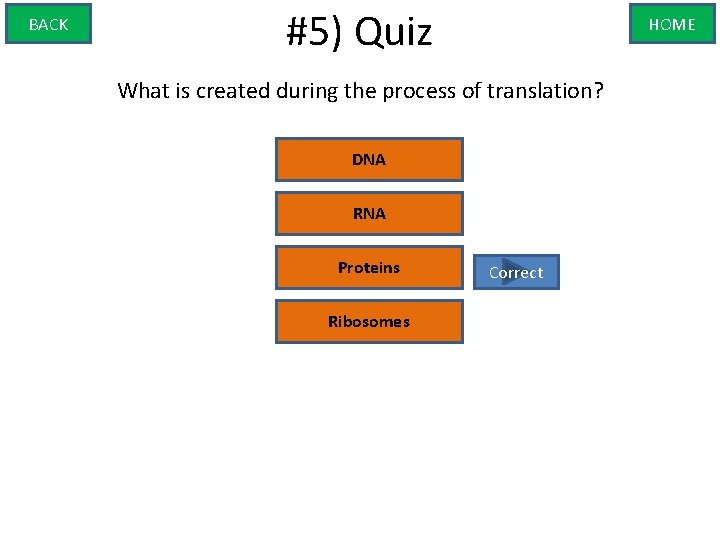 BACK #5) Quiz HOME What is created during the process of translation? DNA RNA