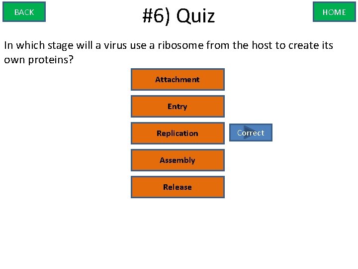 BACK #6) Quiz HOME In which stage will a virus use a ribosome from