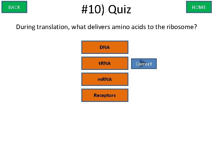 BACK #10) Quiz HOME During translation, what delivers amino acids to the ribosome? DNA