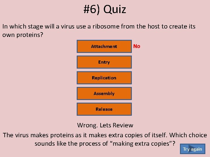 #6) Quiz In which stage will a virus use a ribosome from the host