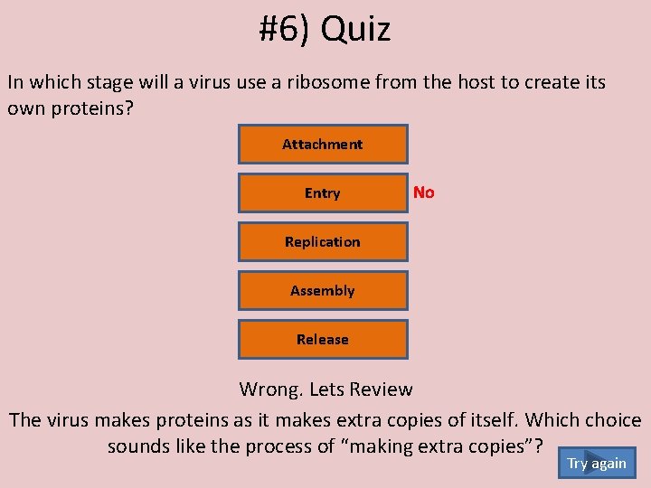 #6) Quiz In which stage will a virus use a ribosome from the host