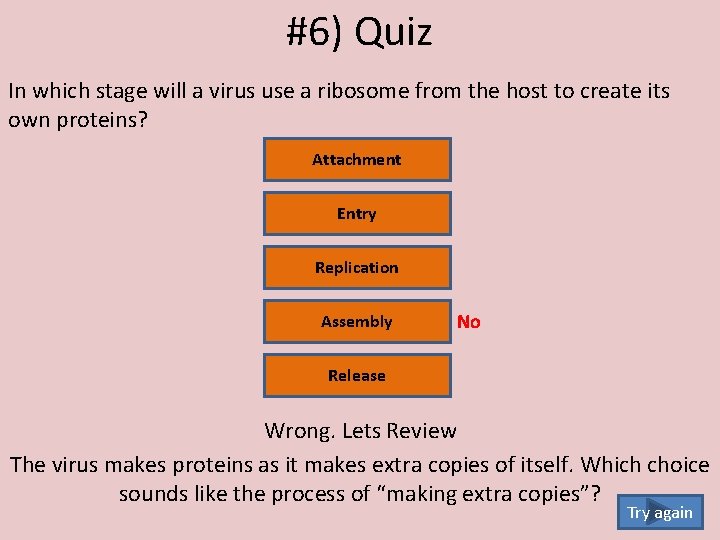 #6) Quiz In which stage will a virus use a ribosome from the host