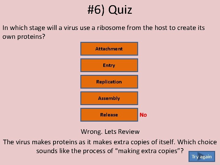 #6) Quiz In which stage will a virus use a ribosome from the host