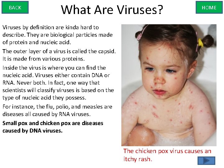 BACK What Are Viruses? HOME Viruses by definition are kinda hard to describe. They