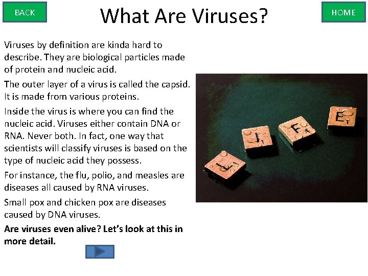 BACK What Are Viruses? Viruses by definition are kinda hard to describe. They are