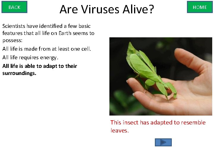 BACK Are Viruses Alive? HOME Scientists have identified a few basic features that all