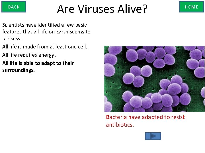 BACK Are Viruses Alive? HOME Scientists have identified a few basic features that all