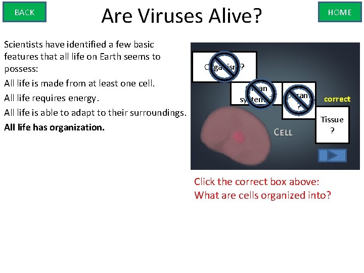 BACK Are Viruses Alive? Scientists have identified a few basic features that all life