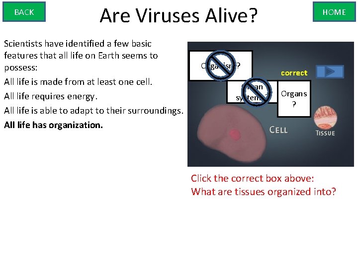 BACK Are Viruses Alive? Scientists have identified a few basic features that all life