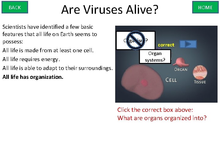 BACK Are Viruses Alive? Scientists have identified a few basic features that all life