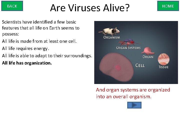 BACK Are Viruses Alive? HOME Scientists have identified a few basic features that all