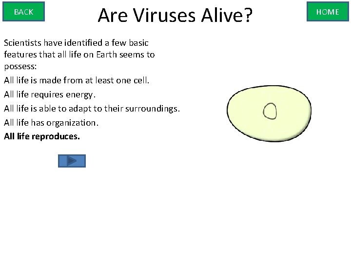 BACK Are Viruses Alive? Scientists have identified a few basic features that all life
