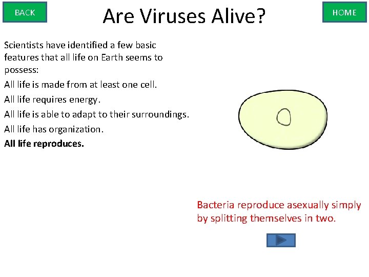 BACK Are Viruses Alive? HOME Scientists have identified a few basic features that all