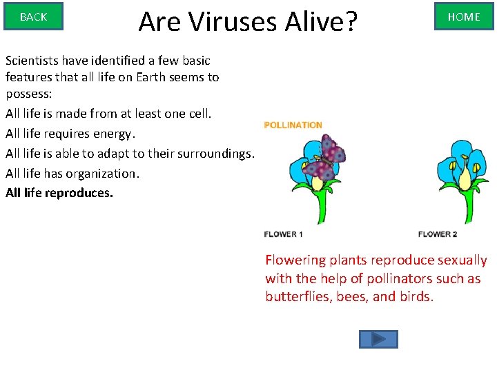 BACK Are Viruses Alive? HOME Scientists have identified a few basic features that all
