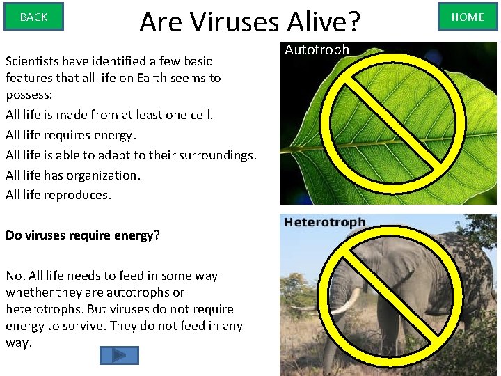 BACK Are Viruses Alive? Scientists have identified a few basic features that all life