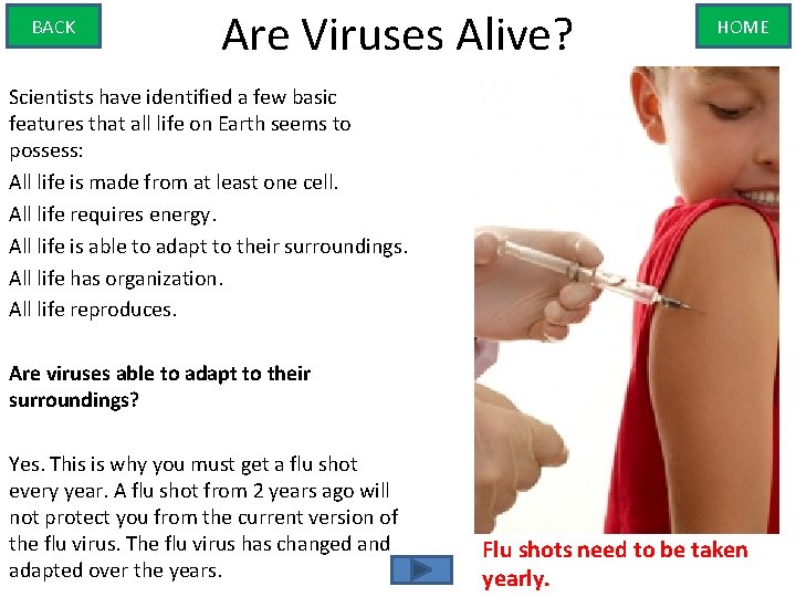 BACK Are Viruses Alive? HOME Scientists have identified a few basic features that all