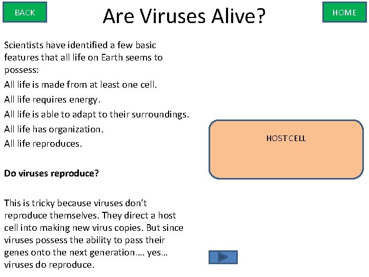 BACK Are Viruses Alive? Scientists have identified a few basic features that all life