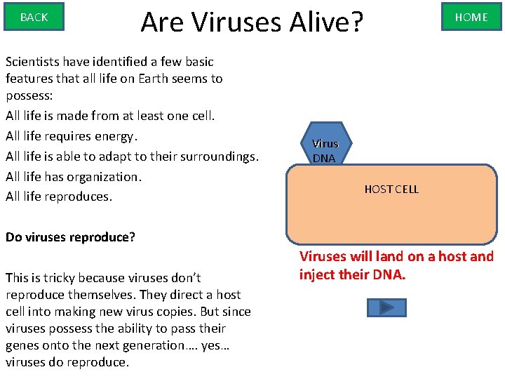 BACK Are Viruses Alive? Scientists have identified a few basic features that all life