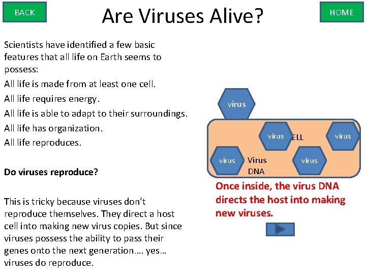 BACK Are Viruses Alive? Scientists have identified a few basic features that all life