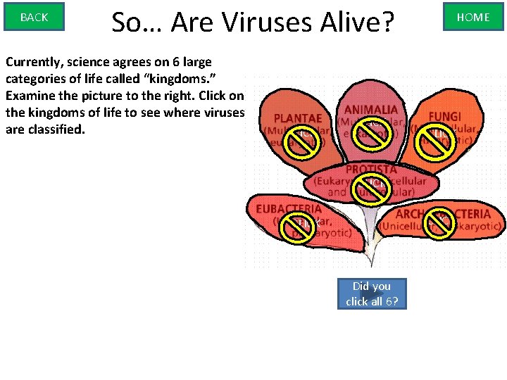 BACK So… Are Viruses Alive? Currently, science agrees on 6 large categories of life