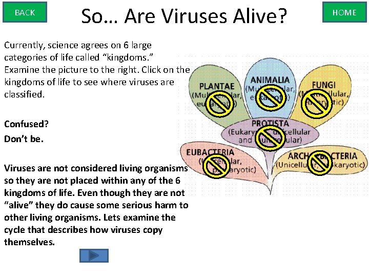 BACK So… Are Viruses Alive? Currently, science agrees on 6 large categories of life
