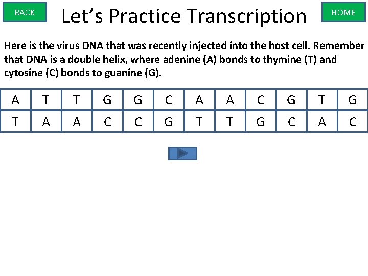 Let’s Practice Transcription BACK HOME Here is the virus DNA that was recently injected