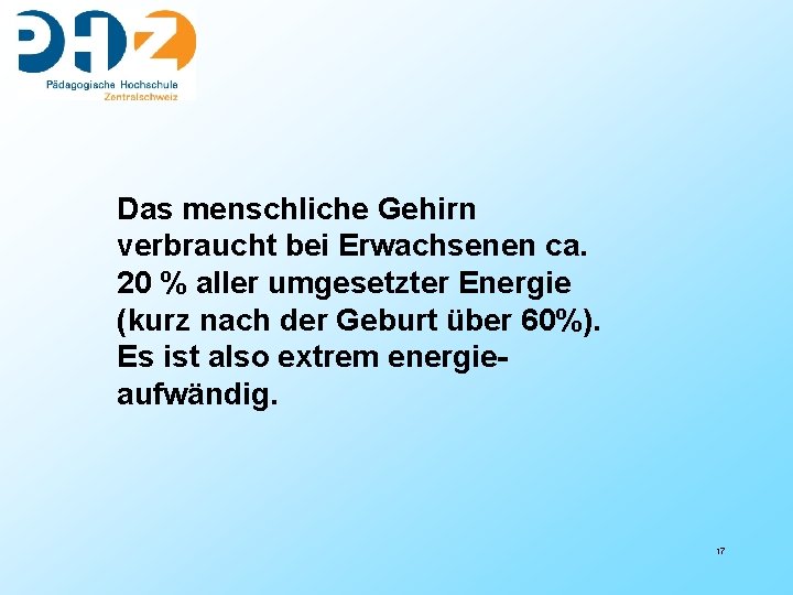 Das menschliche Gehirn verbraucht bei Erwachsenen ca. 20 % aller umgesetzter Energie (kurz nach