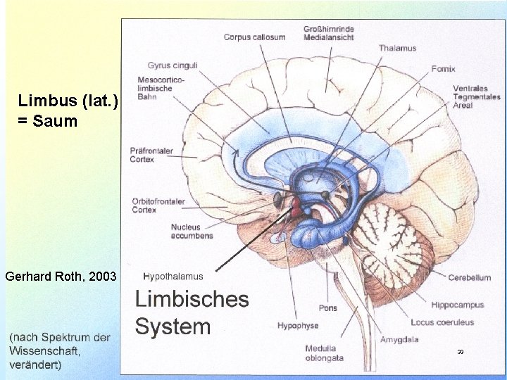 Limbus (lat. ) = Saum Gerhard Roth, 2003 33 