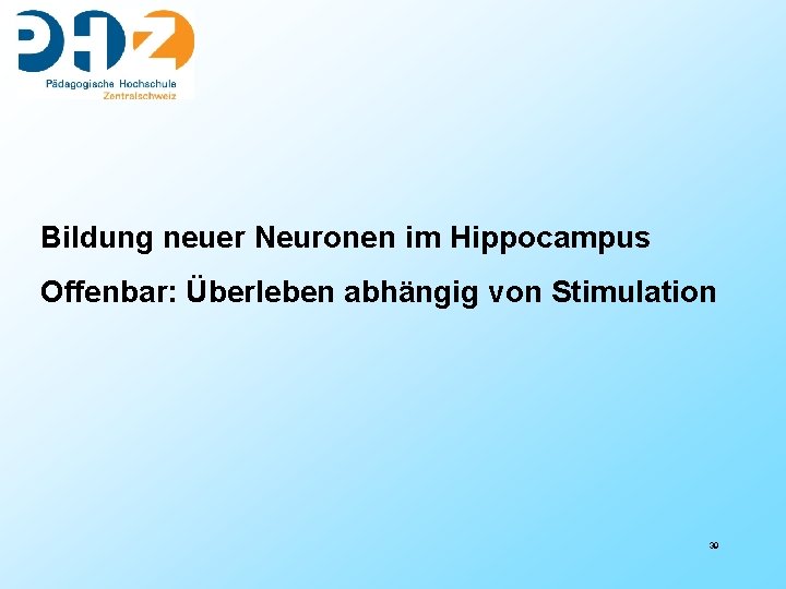 Bildung neuer Neuronen im Hippocampus Offenbar: Überleben abhängig von Stimulation 39 