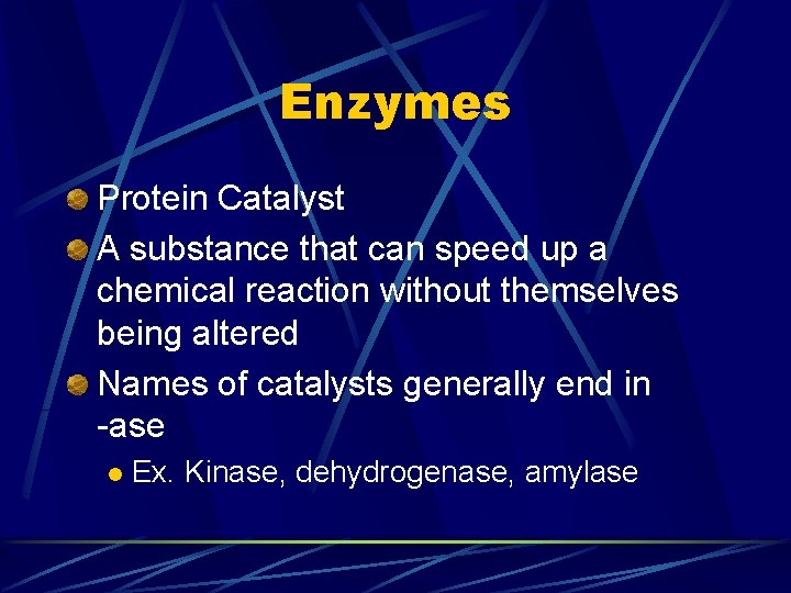 Enzymes Protein Catalyst A substance that can speed up a chemical reaction without themselves