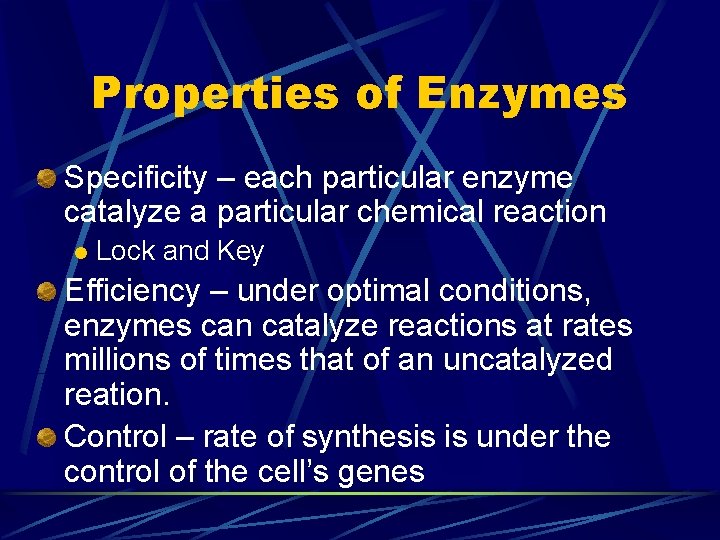 Properties of Enzymes Specificity – each particular enzyme catalyze a particular chemical reaction l