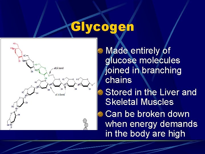 Glycogen Made entirely of glucose molecules joined in branching chains Stored in the Liver