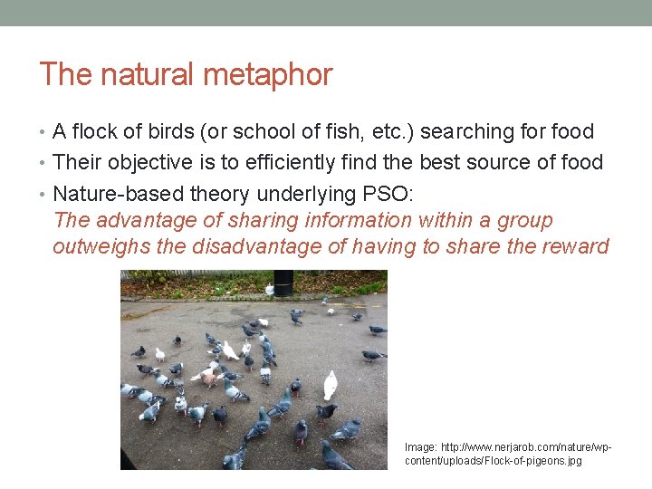 The natural metaphor • A flock of birds (or school of fish, etc. )