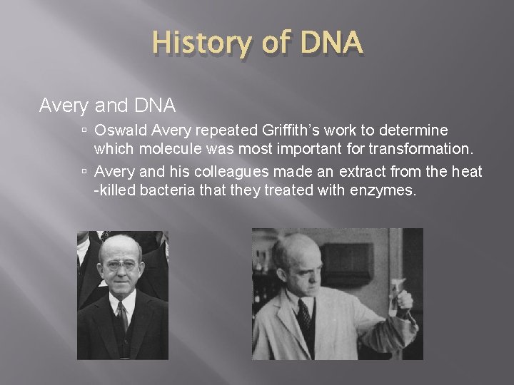 History of DNA Avery and DNA Oswald Avery repeated Griffith’s work to determine which