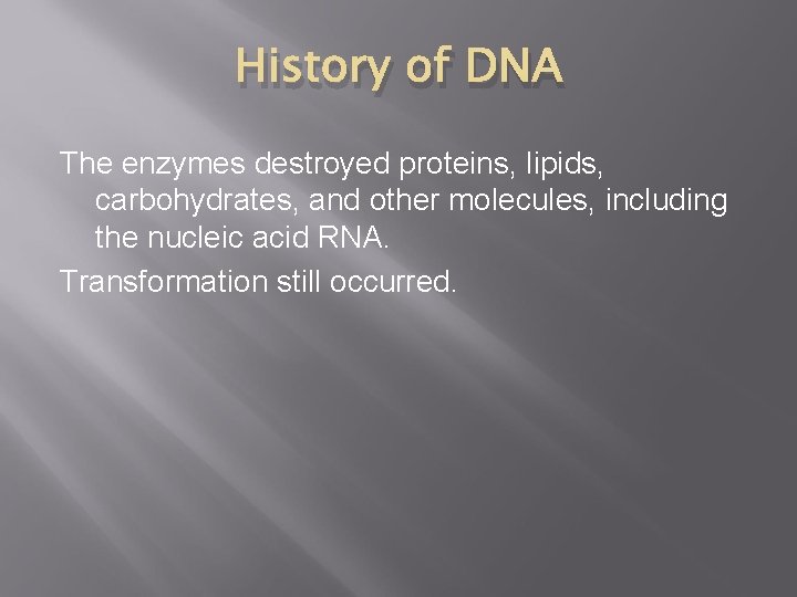 History of DNA The enzymes destroyed proteins, lipids, carbohydrates, and other molecules, including the