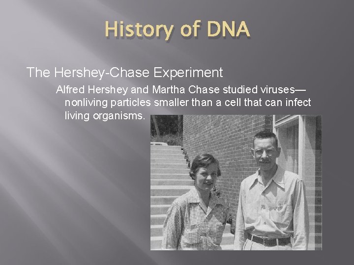 History of DNA The Hershey-Chase Experiment Alfred Hershey and Martha Chase studied viruses— nonliving