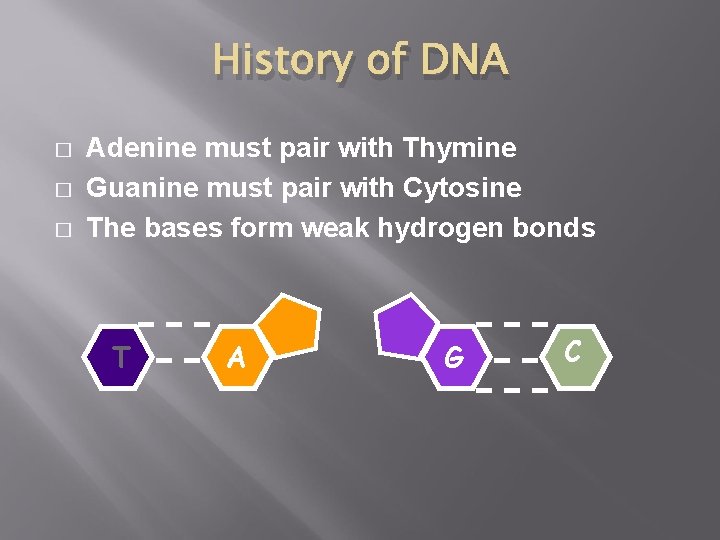 History of DNA � � � Adenine must pair with Thymine Guanine must pair