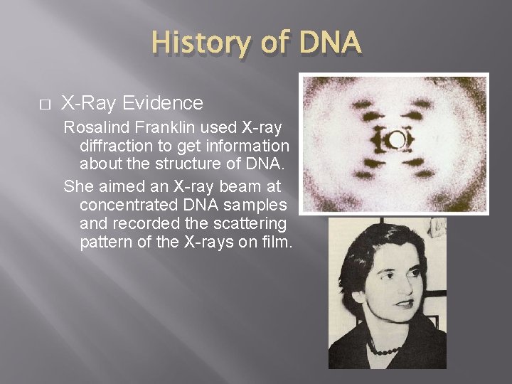 History of DNA � X-Ray Evidence Rosalind Franklin used X-ray diffraction to get information