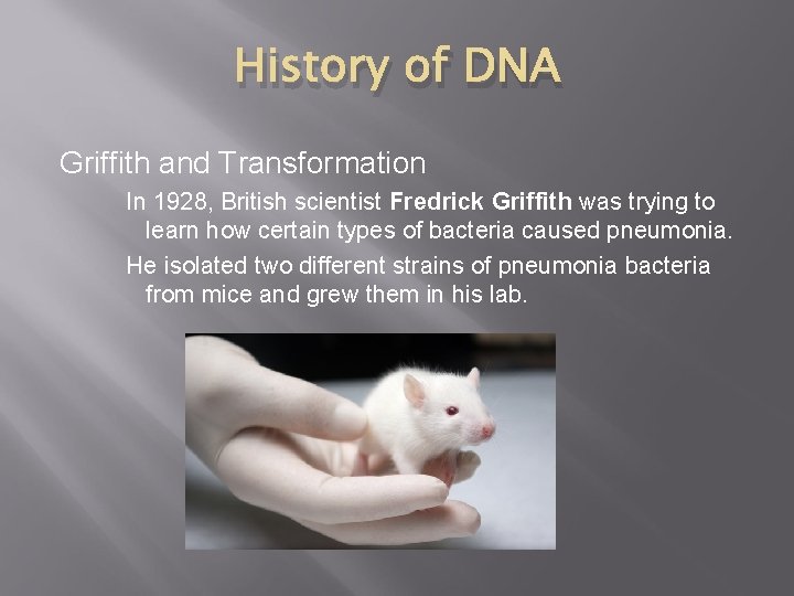 History of DNA Griffith and Transformation In 1928, British scientist Fredrick Griffith was trying