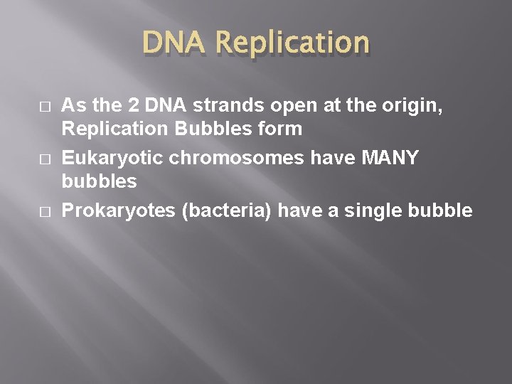 DNA Replication � � � As the 2 DNA strands open at the origin,