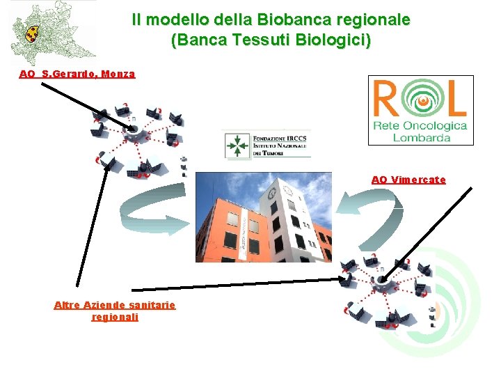 Il modello della Biobanca regionale (Banca Tessuti Biologici) AO S. Gerardo, Monza AO Vimercate