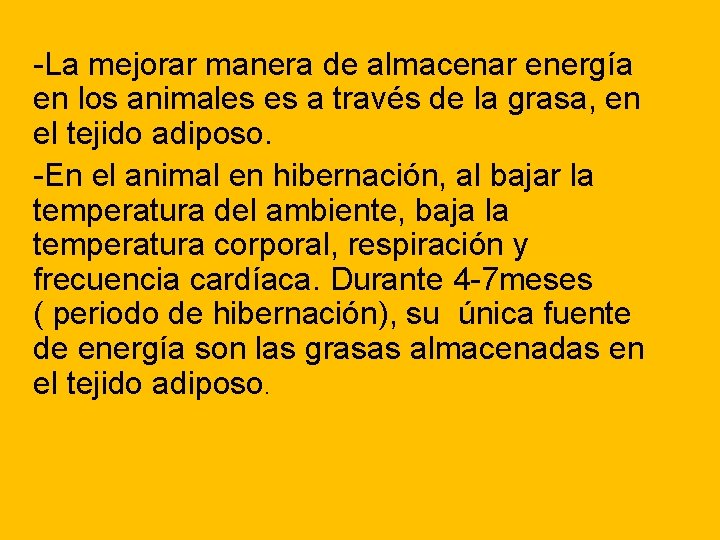 -La mejorar manera de almacenar energía en los animales es a través de la