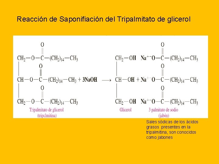 Reacción de Saponifiación del Tripalmitato de glicerol Sales sódicas de los ácidos grasos presentes