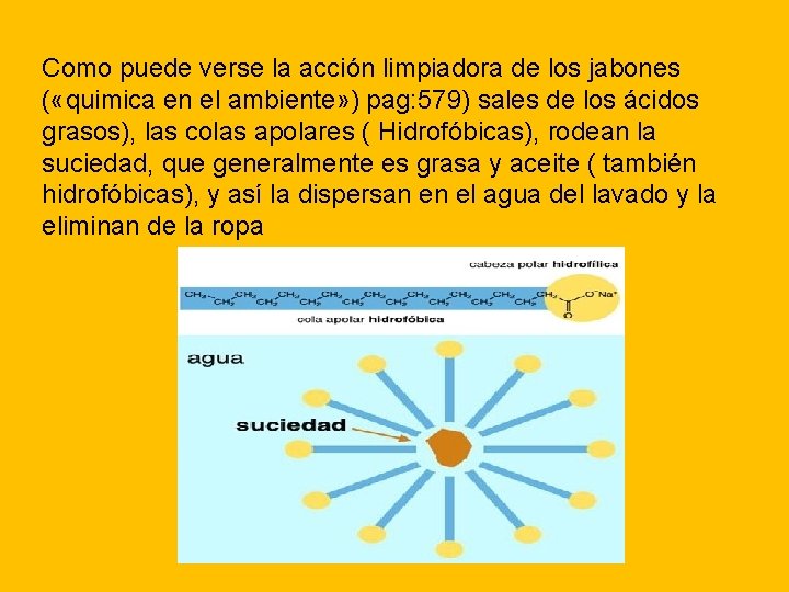 Como puede verse la acción limpiadora de los jabones ( «quimica en el ambiente»