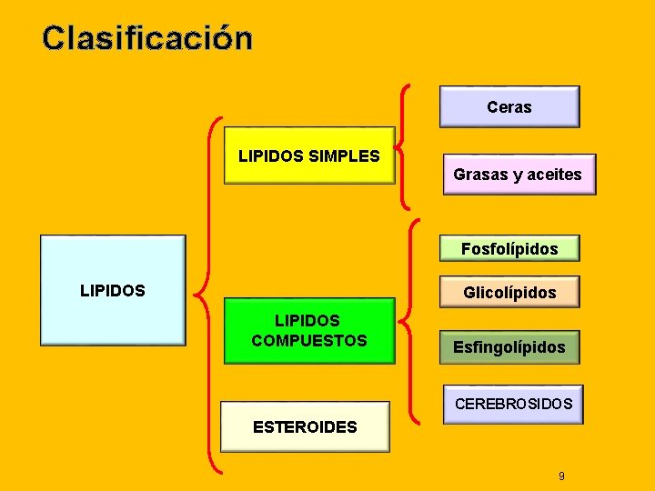 Clasificación Ceras LIPIDOS SIMPLES Grasas y aceites Fosfolípidos LIPIDOS Glicolípidos LIPIDOS COMPUESTOS Esfingolípidos CEREBROSIDOS